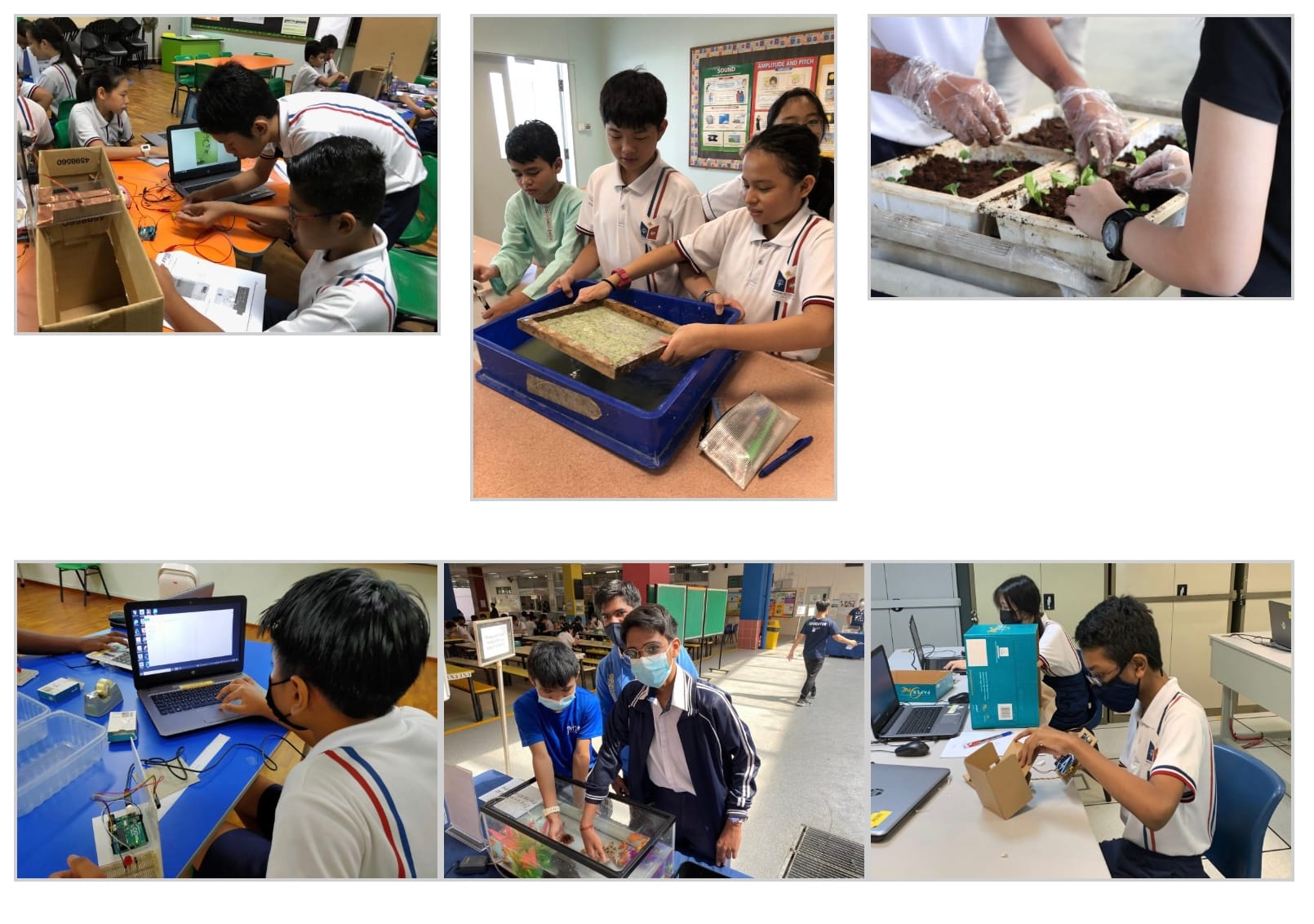 Six photos of school students doing hands-on science activities including planting, water trays, and laptop work.